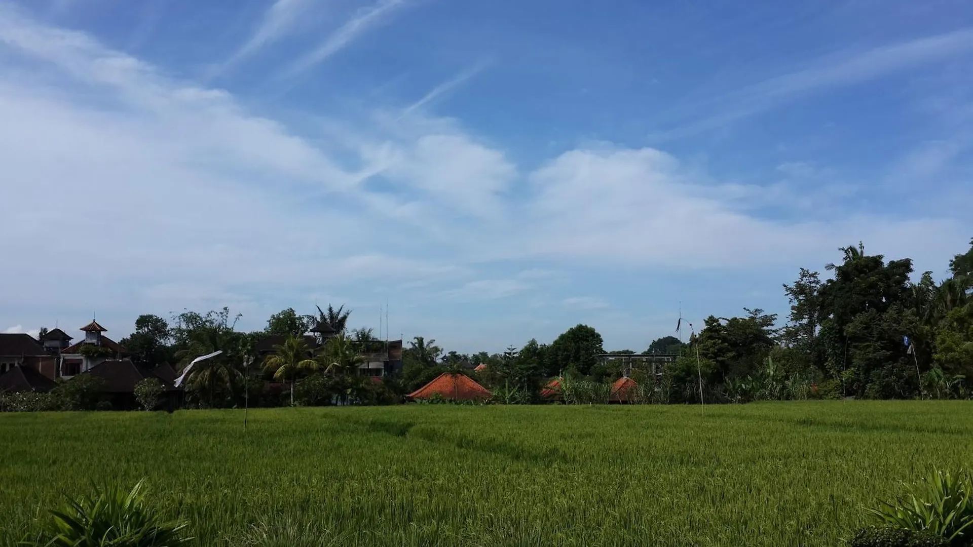 Kun - Kun Guest House Ubud Indonesia