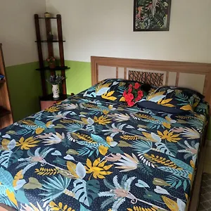 https://lovely-flowers-in-mount-lavinia.negombohotels.net