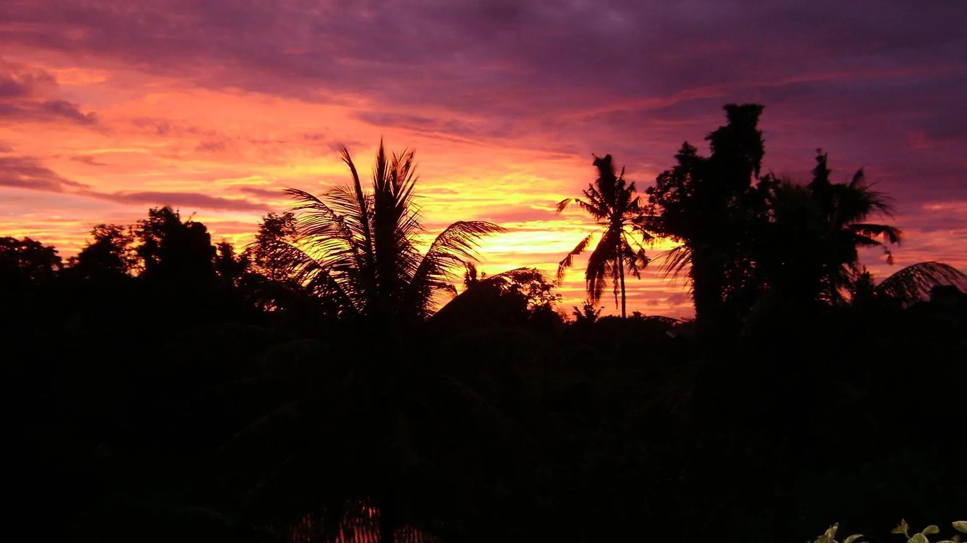 Kun - Kun Guest House Ubud